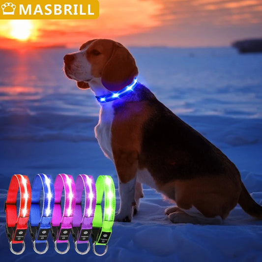 Light Up Waterproof USB Rechargeable Glowing Adjustable Night Safety Dog Collar