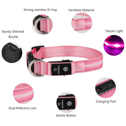Light Up Waterproof USB Rechargeable Glowing Adjustable Night Safety Dog Collar