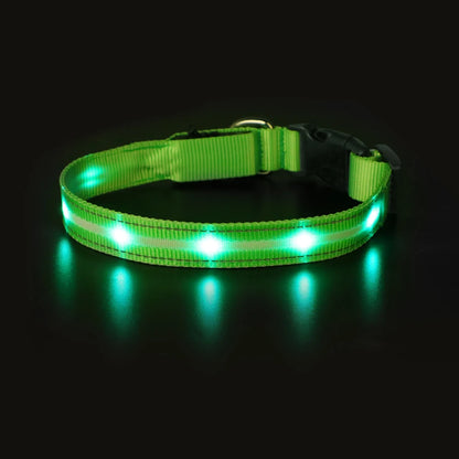 Light Up Waterproof USB Rechargeable Glowing Adjustable Night Safety Dog Collar