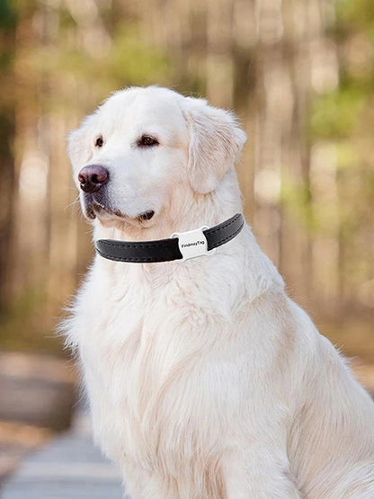 Mini Pet GPS Tracker Collar