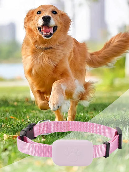 GPS Pet Tracker with Adjustable Collar