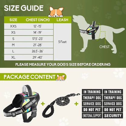Service Dog Harness Leash Set