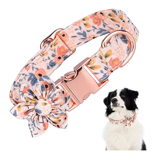 Large adjustable cat/ dog collar