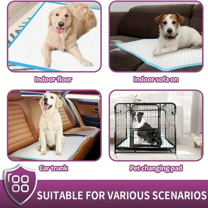 Various Sizes Of Premium Disposable Dog Training Pads | Super Absorbency |  Extra Strength Leak-Proof