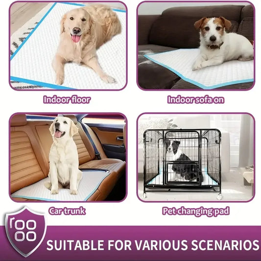 Various Sizes Of Premium Disposable Dog Training Pads | Super Absorbency | Extra Strength Leak-Proof