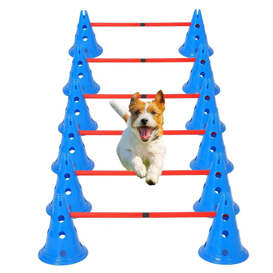 Hurdle Cone Set with 12 Cones 6 Rods Training Equipment