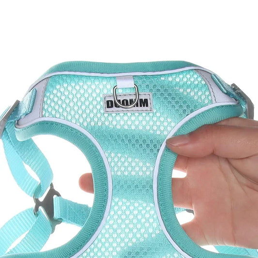 Harness Leash Set for Small Medium Dog