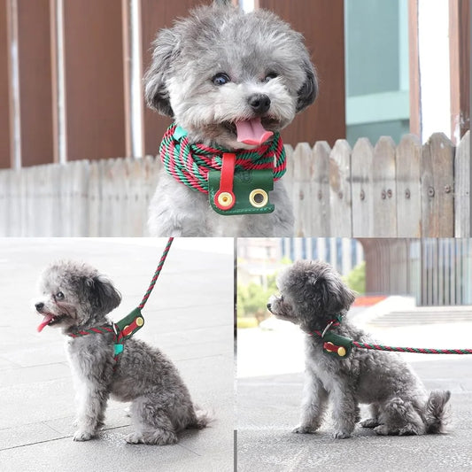Multi Functional No Pull Harness