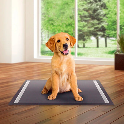Large Charcoal Leakproof Quick Drying Puppy Training Pads