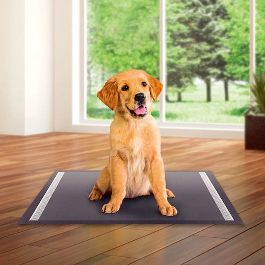 Large Charcoal Leakproof Quick Drying Puppy Training Pads