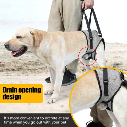 Adjustable Lift Harness for Large Dogs