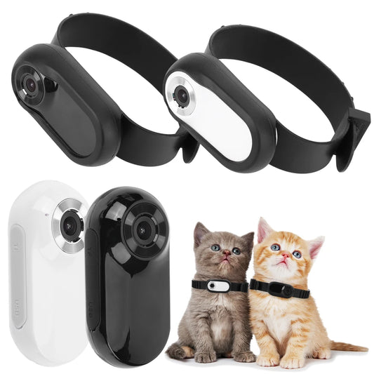 Pet Tracking Collar
