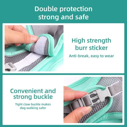 Adjustable Harness Leash Set for Small Dogs
