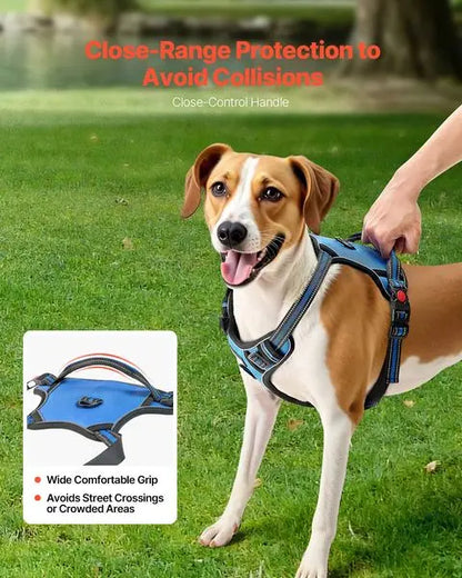 Adjustable No Pull Pet Harness with Leash