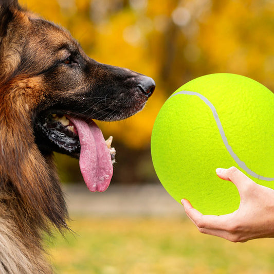 Oversize Inflatable Giant Tennis Ball with Pump