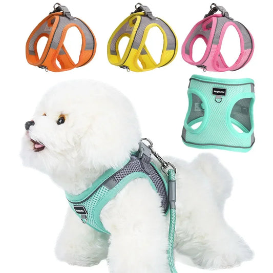 Adjustable Harness Leash Set for Small Dogs