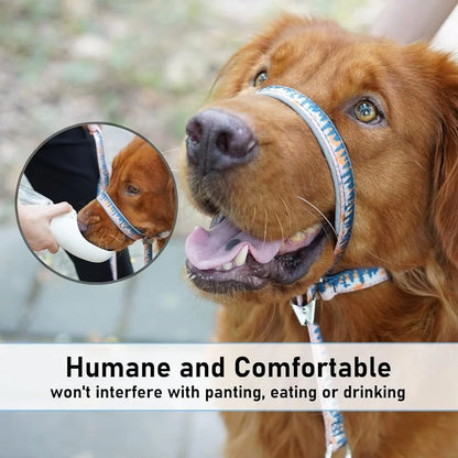 Anti-Pulling Harness with Leash