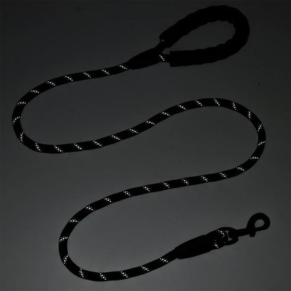Nylon Reflective Dog Leash