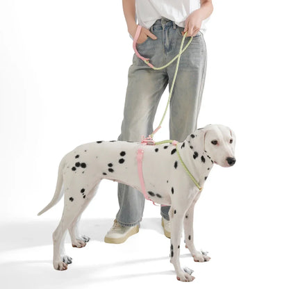 No Pull Safety Reflective Nylon Leash and Harness for Small And Medium Dogs