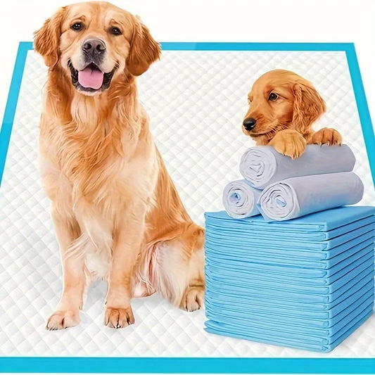 Various Sizes Of Premium Disposable Dog Training Pads | Super Absorbency |  Extra Strength Leak-Proof