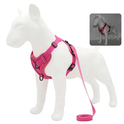 Adjustable No Pull Harness and Leash Set