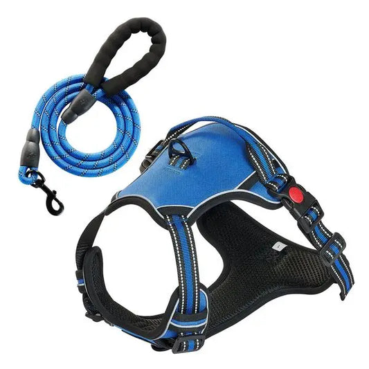 Adjustable No Pull Pet Harness with Leash