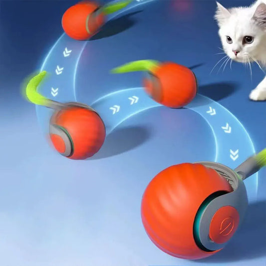USB Rechargeable Interactive Cat Toy
