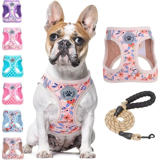 Floral Dog Harness and Leash Set