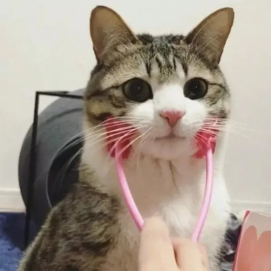 Multifunction Comfortable Cat Feet Leg Massager