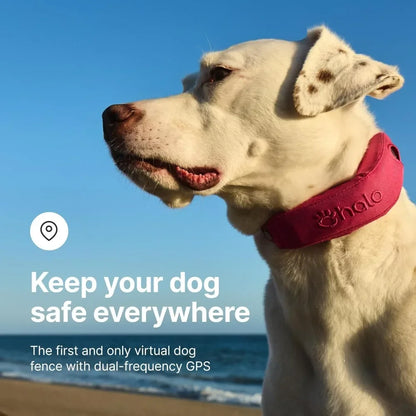 High quality Wireless Waterproof Dog Fence & Training Collar