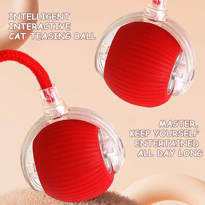 Interactive Rechargeable Self Rotating Ball