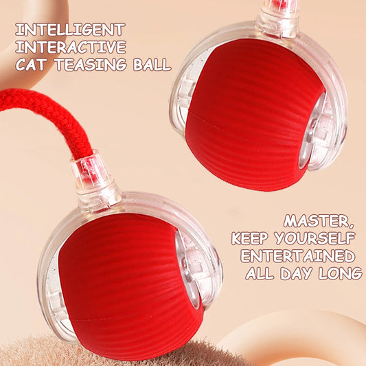 Interactive Rechargeable Self Rotating Ball