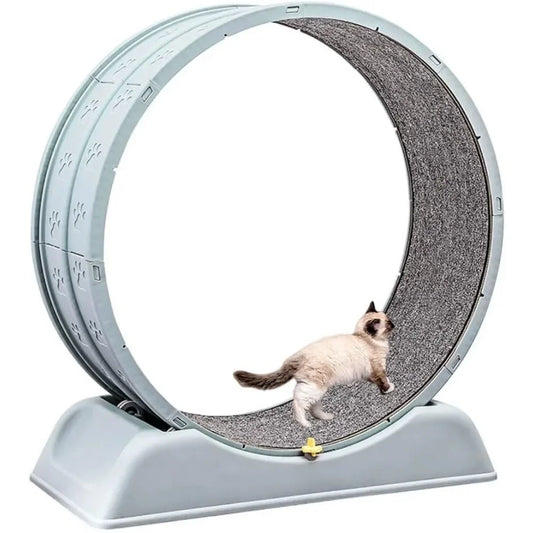 Running Wheel for Cat's Fitness