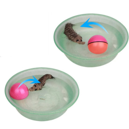Electric Rolling Ball for Dogs/ Cats