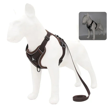 Adjustable No Pull Harness and Leash Set
