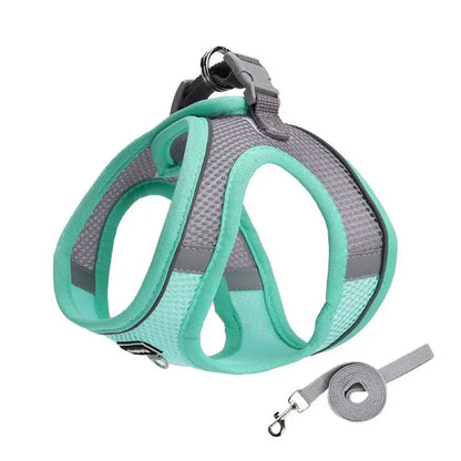 Adjustable Dog Harness Leash Set for Small Dogs