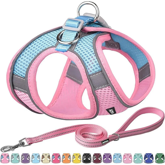 No Pull Dog Harness Leash Set