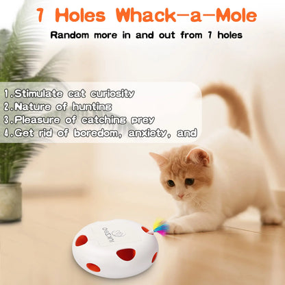 Automatic Interactive Cat Toys