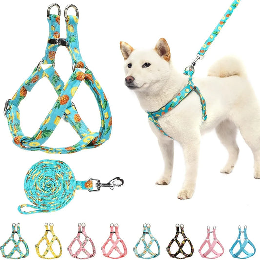 Comfortable Adjustable Heavy Duty No Pull Harness and Leash Set