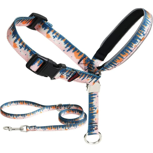 Anti-Pulling Harness with Leash