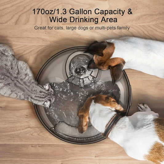 Large Automatic Pet Water Fountain for Multiple Pets