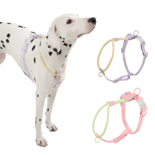 Summer Cooling Dog Harness