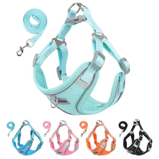 Harness Leash Set for Small Medium Dog
