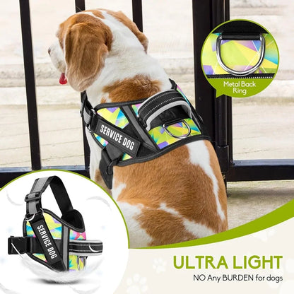 Service Dog Harness Leash Set