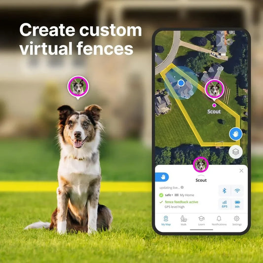 High quality Wireless Waterproof Dog Fence & Training Collar