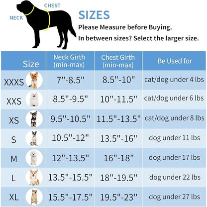 No Pull Dog Harness Leash Set