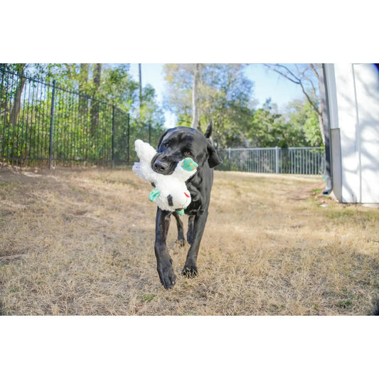 Lamb Chop Plush with Squeaker Dog Toy