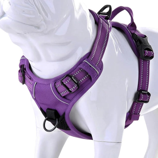 Reflective No Pull Dog Harness with Handle Two Leash Attachments