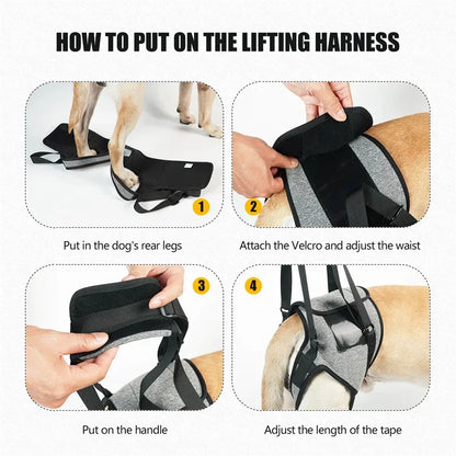Adjustable Lift Harness for Large Dogs