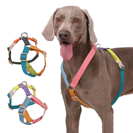 No Pull Adjustable Breathable Dog Harness for Easy Training
